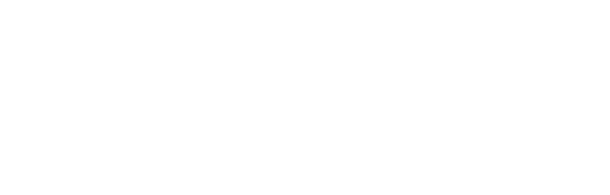 Nancy's Nutrition, Inc. Healing at the Root Cause